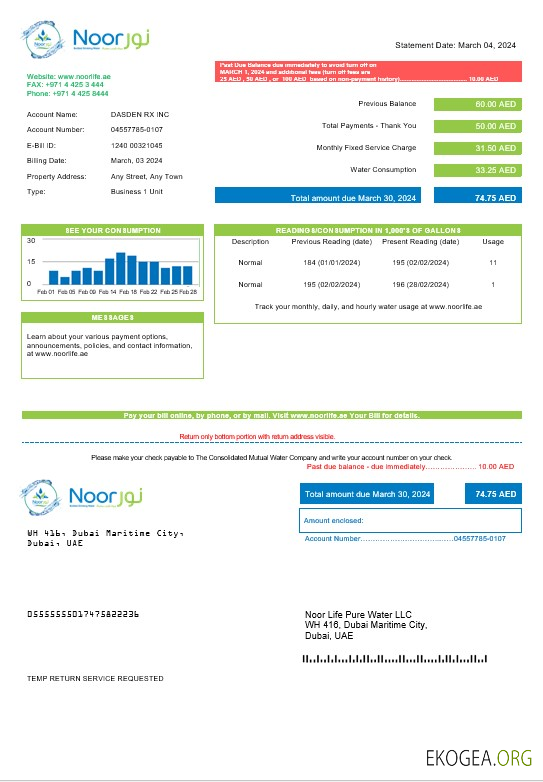 Modèle de facture de services publics des Émirats arabes unis Noor Life Pure Water LLC aux formats Word et PDF